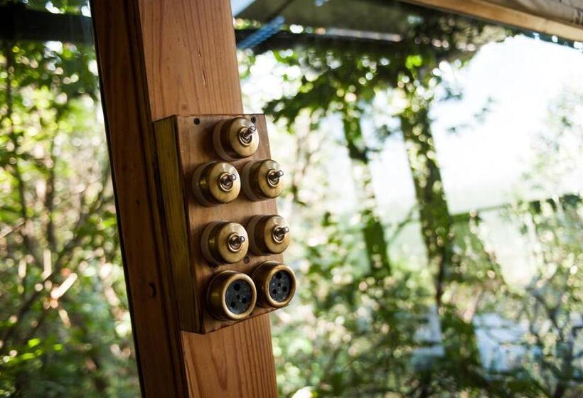 Suíte Deluxe, The Machan