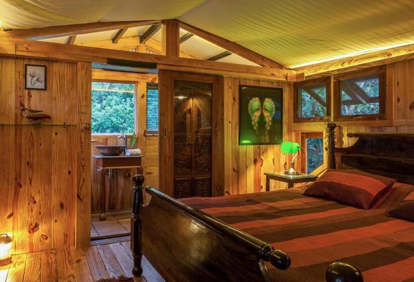 Suíte Deluxe, The Machan