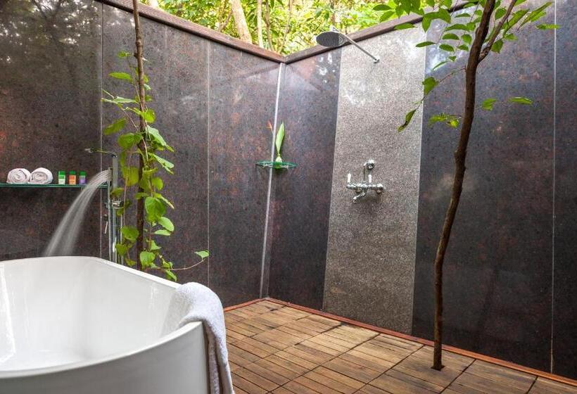 Suíte Deluxe, The Machan