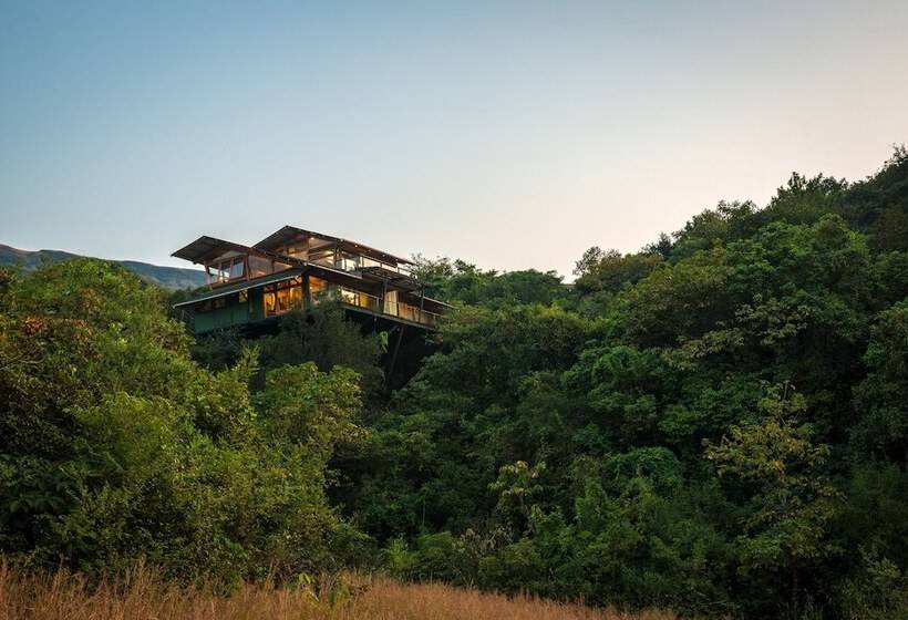 Casa 1 Quarto, The Machan