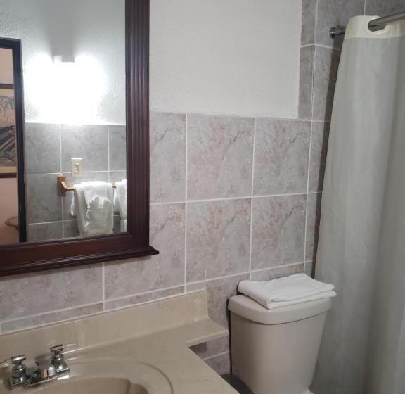 اتاق استاندارد با تخت بزرگ, Selva Boutique Hotel Luquillo Oceanfront Retreat Adults Only