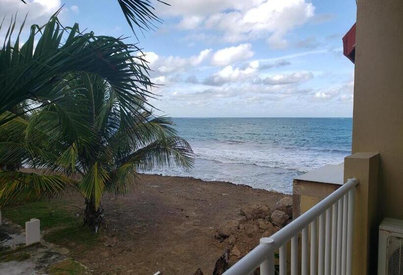 اتاق استاندارد با تخت بزرگ, Selva Boutique Hotel   Luquillo Oceanfront Retreat   Adults Only