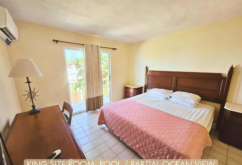 اتاق استاندارد با تخت بزرگ, Selva Boutique Hotel Luquillo Oceanfront Retreat Adults Only