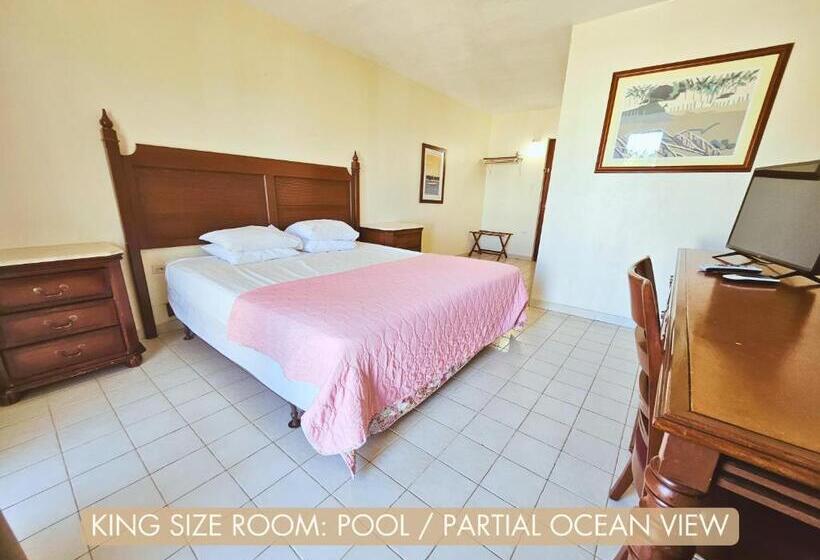 اتاق استاندارد با تخت بزرگ, Selva Boutique Hotel Luquillo Oceanfront Retreat Adults Only