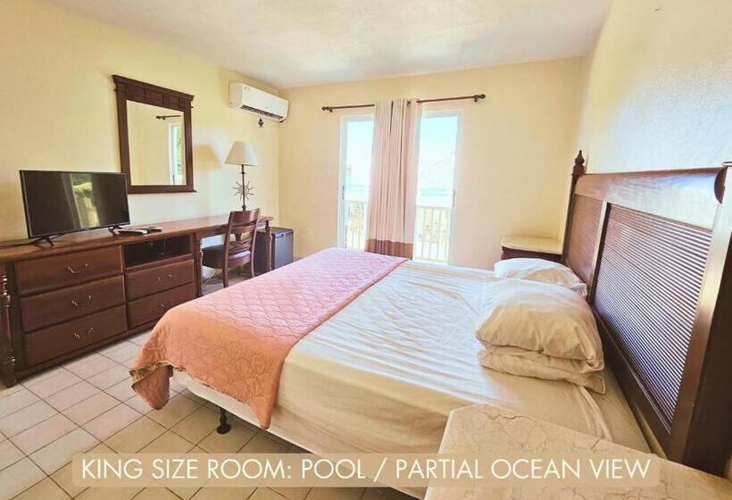 اتاق استاندارد با تخت بزرگ, Selva Boutique Hotel Luquillo Oceanfront Retreat Adults Only