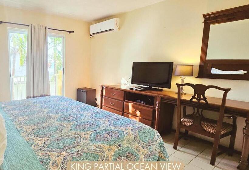 اتاق استاندارد با تخت بزرگ, Selva Boutique Hotel Luquillo Oceanfront Retreat Adults Only