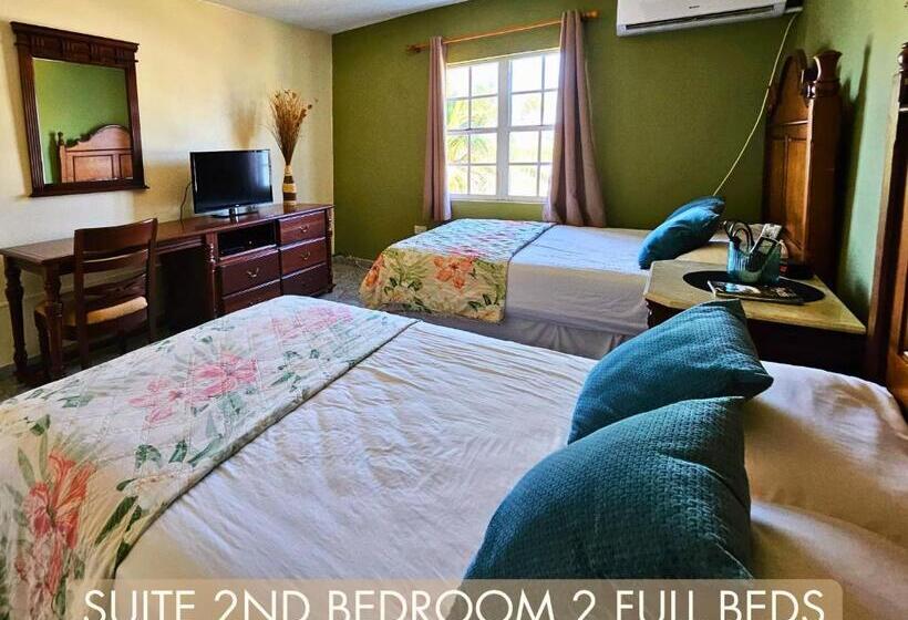 سوئیت با تخت بزرگ, Selva Boutique Hotel   Luquillo Oceanfront Retreat   Adults Only