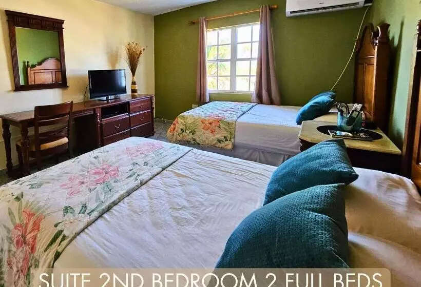 سوئیت با تخت بزرگ, Selva Boutique Hotel   Luquillo Oceanfront Retreat   Adults Only