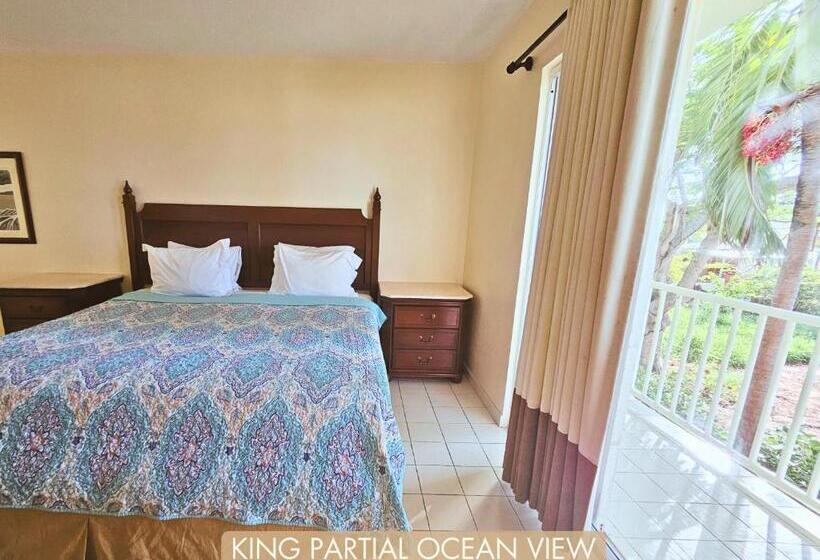 اتاق استاندارد با تخت بزرگ, Selva Boutique Hotel Luquillo Oceanfront Retreat Adults Only