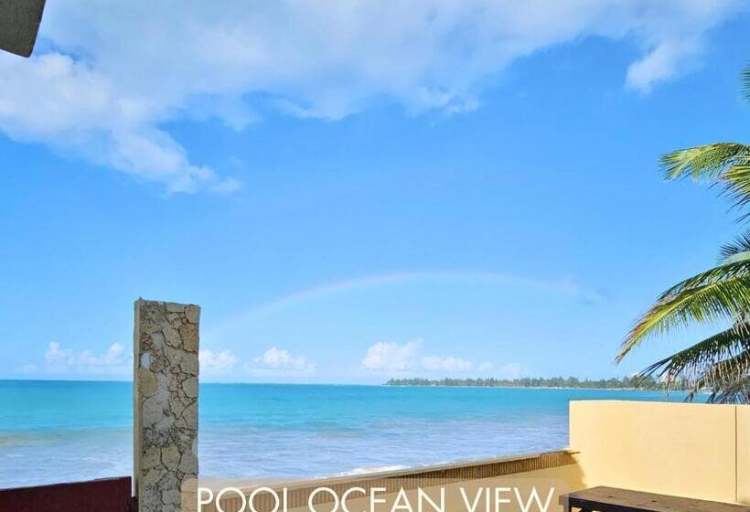 اتاق استاندارد با تخت بزرگ, Selva Boutique Hotel Luquillo Oceanfront Retreat Adults Only