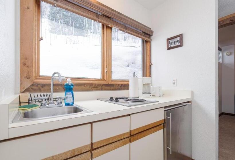 Студия Стандарт, Manitou Lodge 5 Hotel Room By Alpine Lodging Telluride