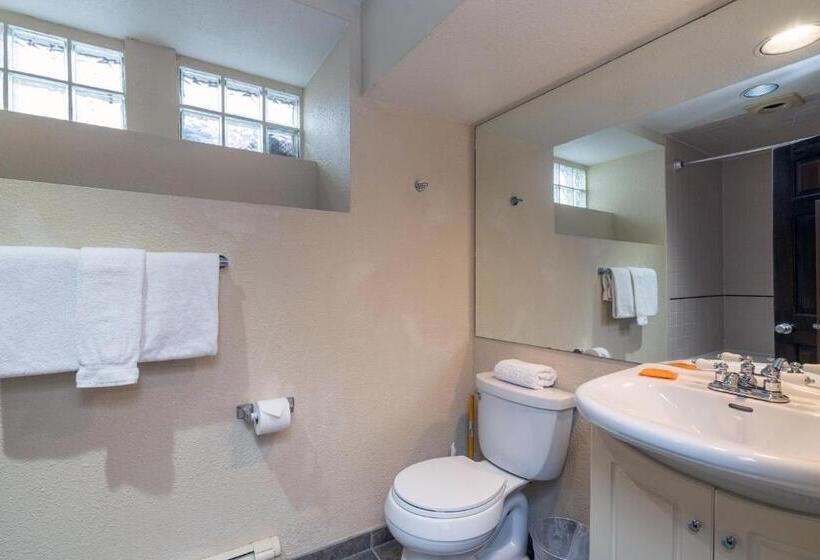 Студия Стандарт, Manitou Lodge 5 Hotel Room By Alpine Lodging Telluride