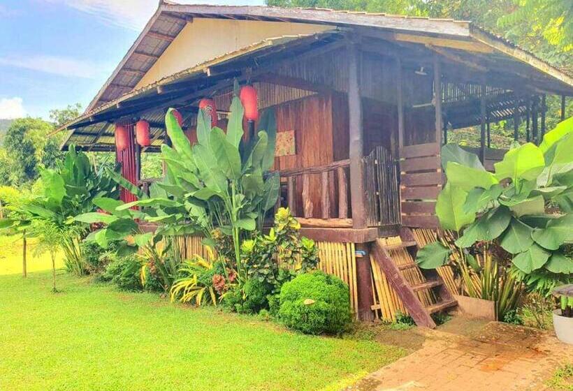 Семейный Номер, Banlaw Garden Resort