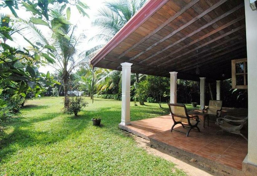 Номер Стандарт Индивидуальный, Mangrove Villa   Yoga & Ayurveda