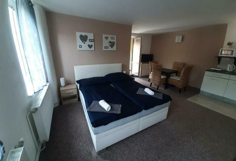 스탠다드 룸, Penzion Chlumec