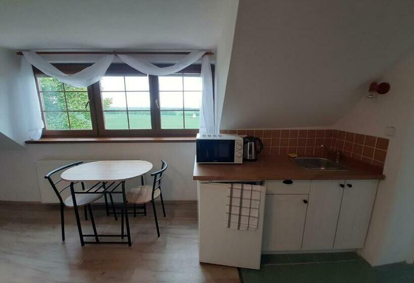 스탠다드 룸, Penzion Chlumec