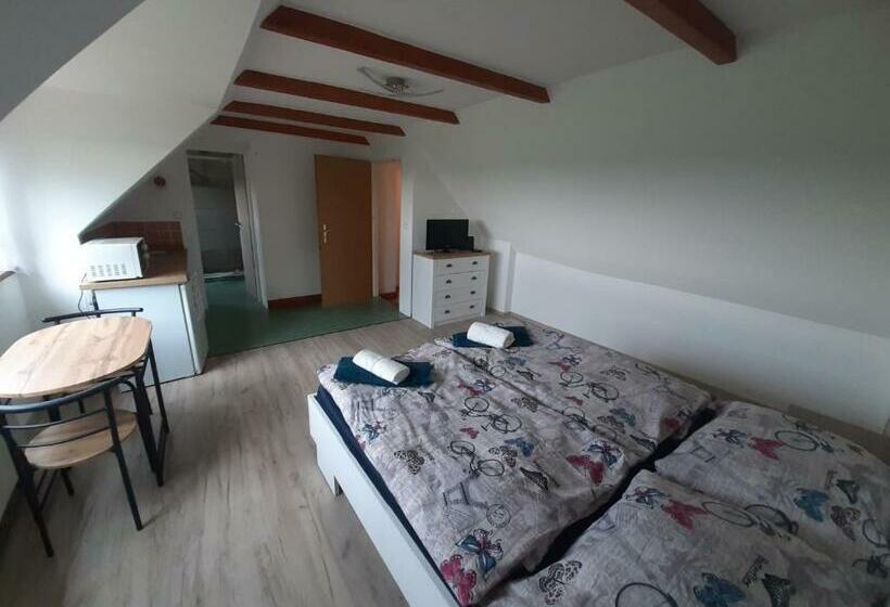 스탠다드 룸, Penzion Chlumec