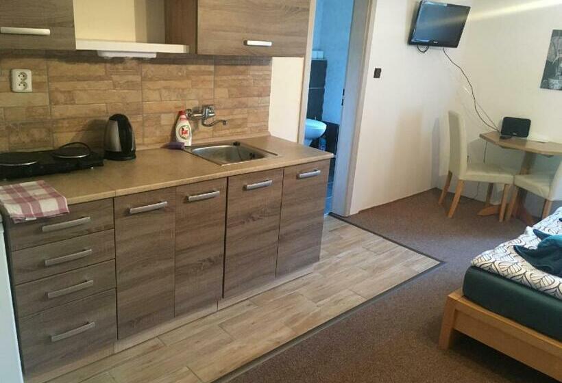 스탠다드 룸, Penzion Chlumec