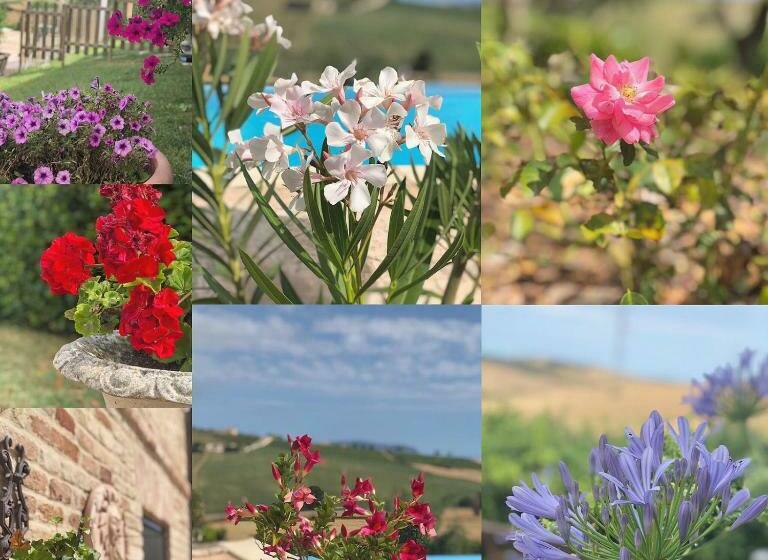 디럭스 룸, B&b Casa Fanny Riviera Del Conero