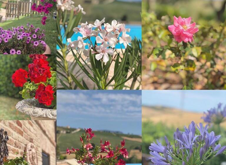 스탠다드 스튜디오 정원 전망, B&b Casa Fanny Riviera Del Conero