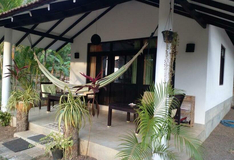 Perhehuone, Chill Cabanas