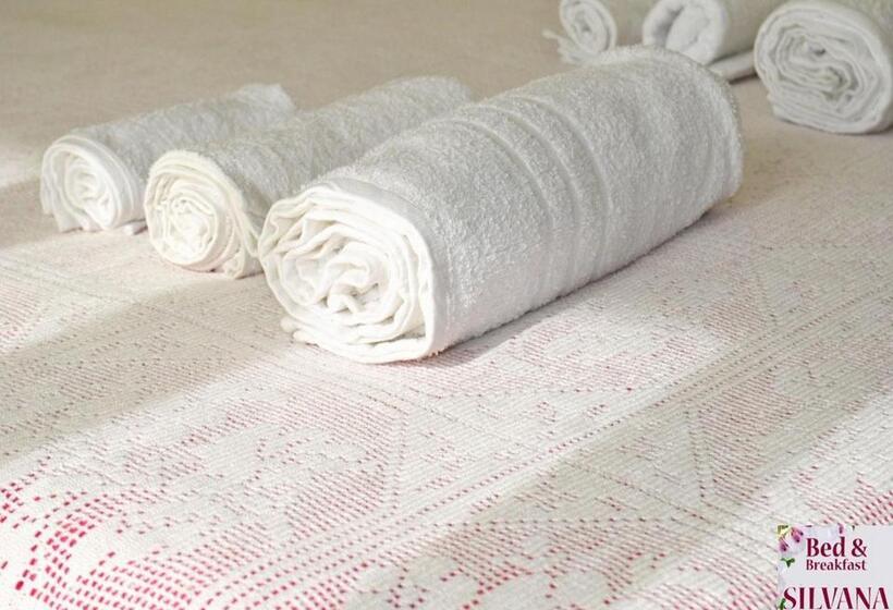 חדר סטנדרט, Bed And Breakfast Silvana