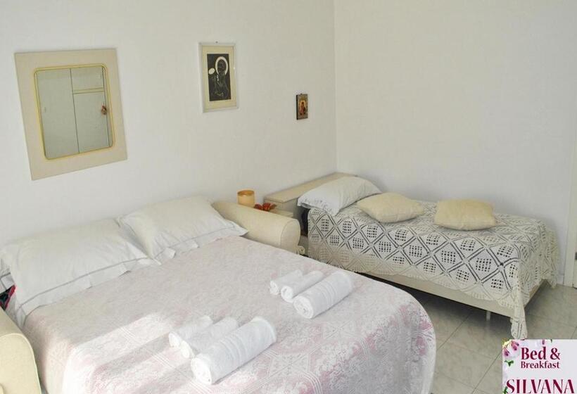 חדר סטנדרט, Bed And Breakfast Silvana