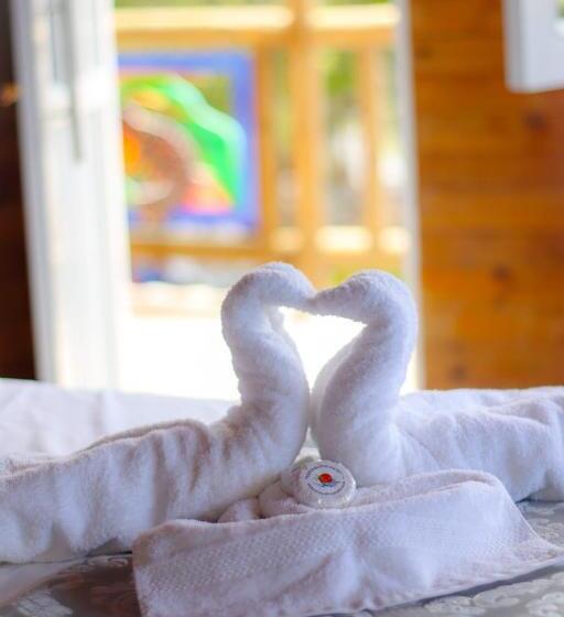 スーペリアールーム, Isla Lizamar