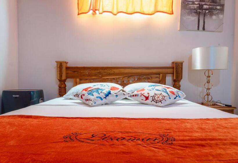 スタンダードルーム, Isla Lizamar