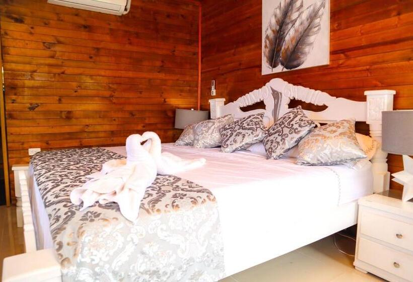 スーペリアールーム, Isla Lizamar