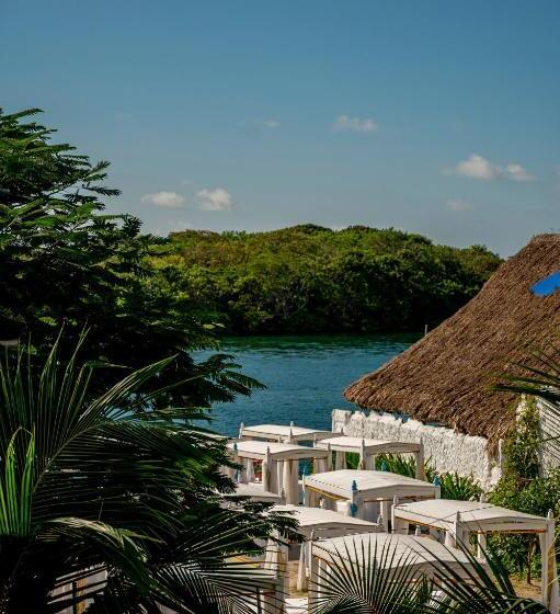 スーペリアールーム, Isla Lizamar