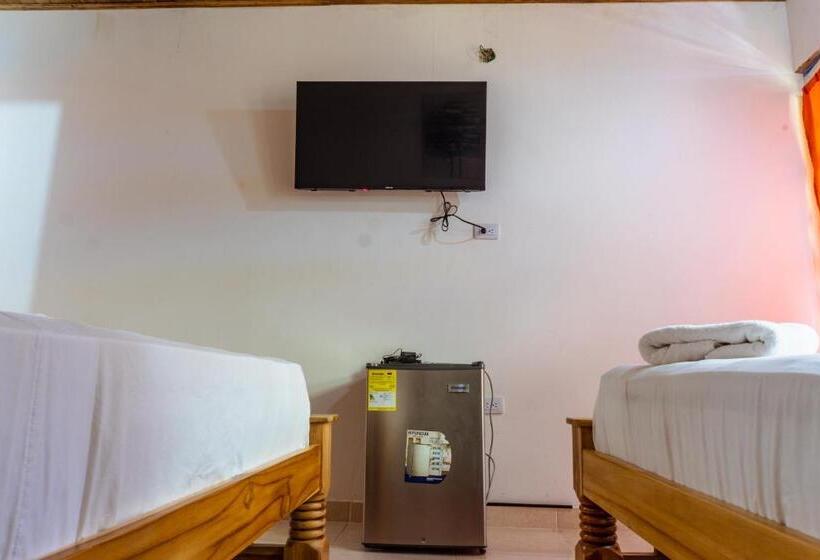 ベーシックトリプルルーム, Isla Lizamar