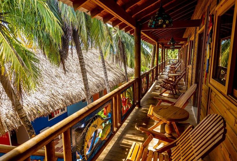 スタンダードルーム, Isla Lizamar