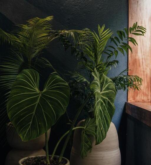 سوئیت با بالکن, Sui Boutique