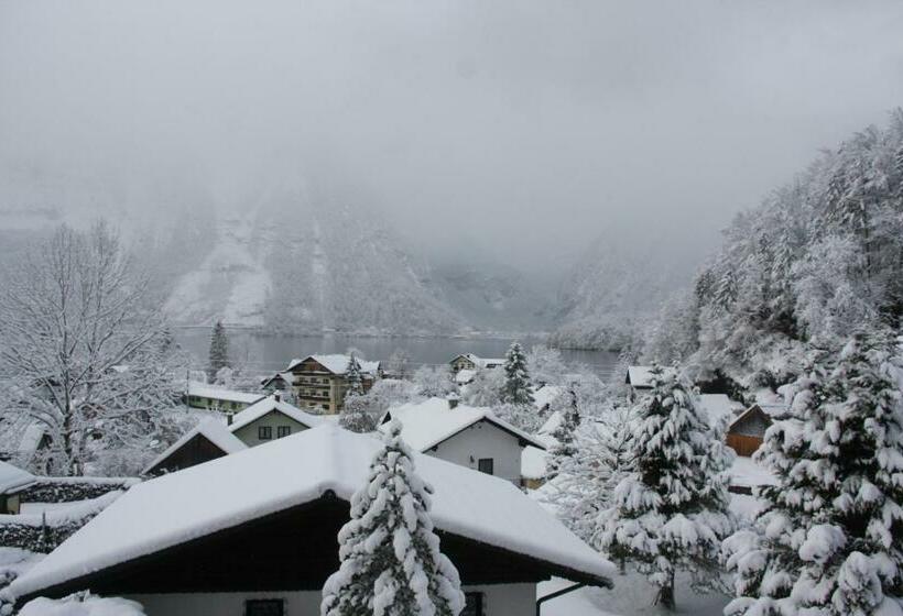 Номер Стандарт Вид на Озеро, Haus Salzkammergut