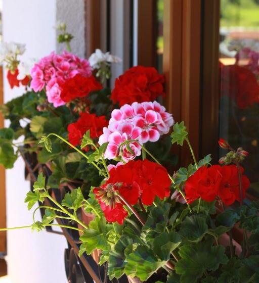 标准间带湖景, Haus Salzkammergut