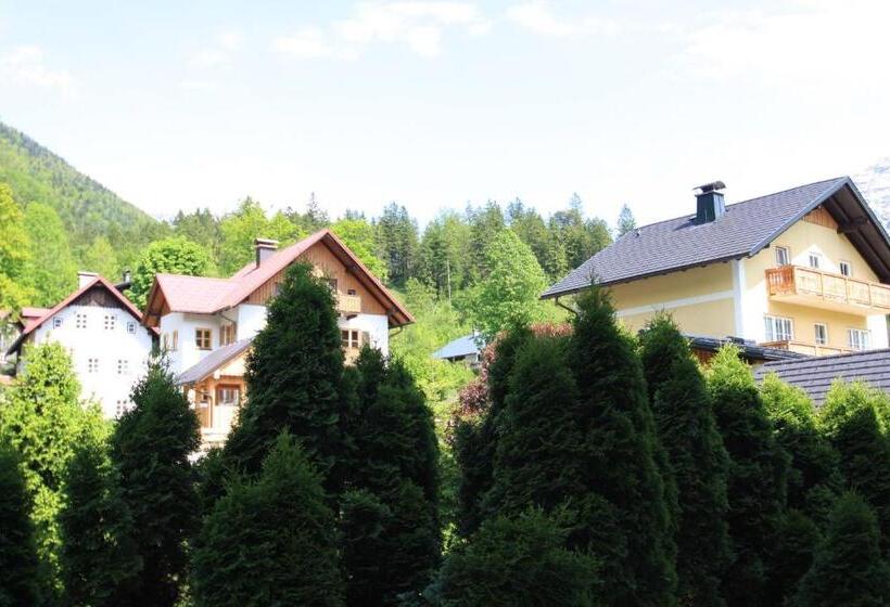 带观景的高级间, Haus Salzkammergut