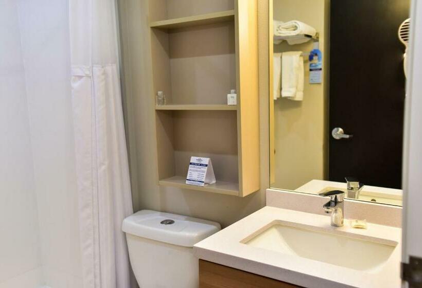 Номер Стандарт, Microtel Inn & Suites By Wyndham Cuauhtemoc Campos Menonitas
