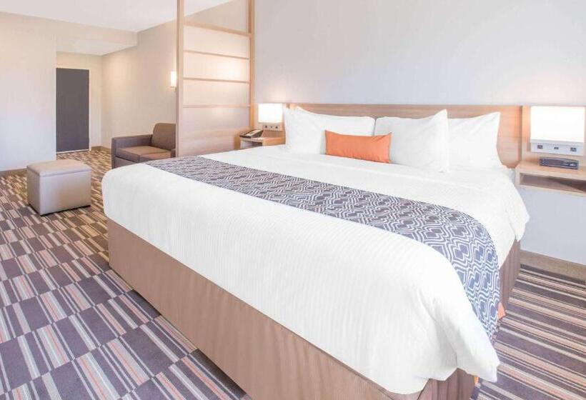 غرفة قياسية لذوى الاحتياجات الخاصة, Microtel Inn & Suites By Wyndham Cuauhtemoc Campos Menonitas