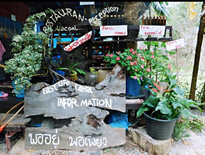 Deluxe-bungalow, Easylife Bungalow