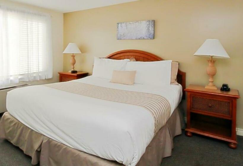 ２ベッドルームアパートメント, The Ponds At Foxhollow