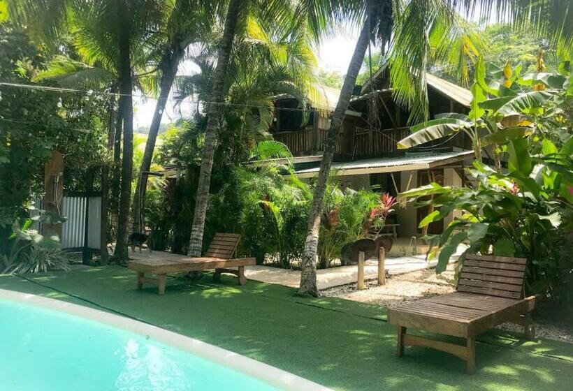 スタンダードスタジオ, Santascabinas