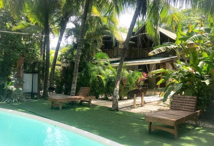 ファミリーステューディオ, Santascabinas