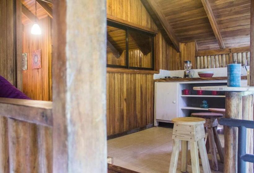 キングサイドベッドのスタンダードワンルーム, Santascabinas