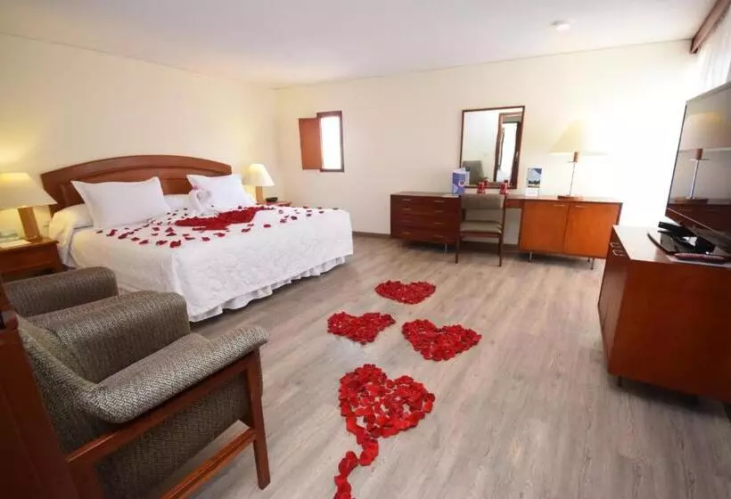 スイート, D'acosta Hotel Sochagota
