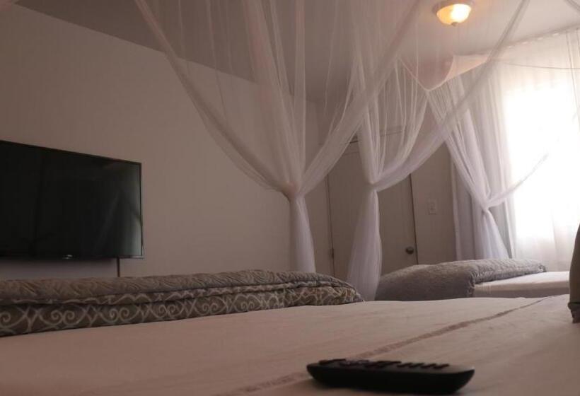 수피리어 룸, Boho Beach Club