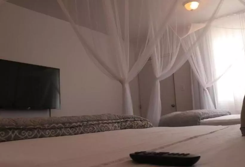 اتاق سوپریور, Boho Beach Club