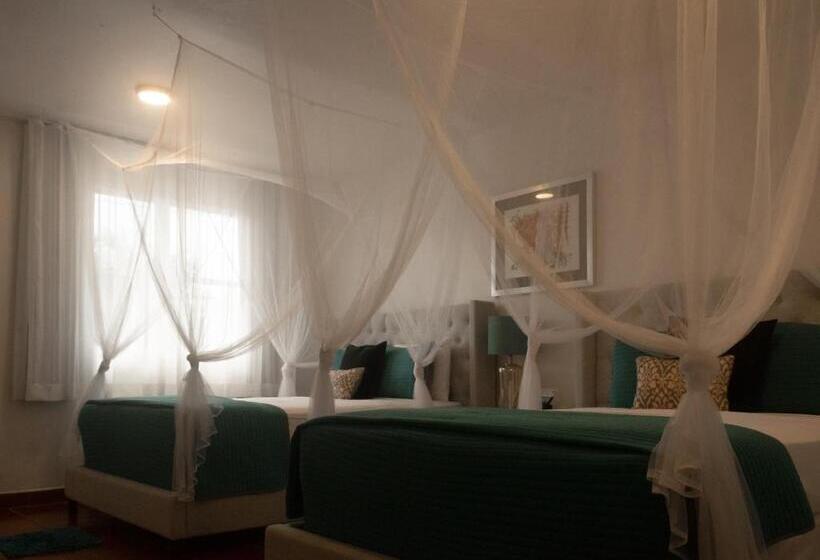 수피리어 룸, Boho Beach Club