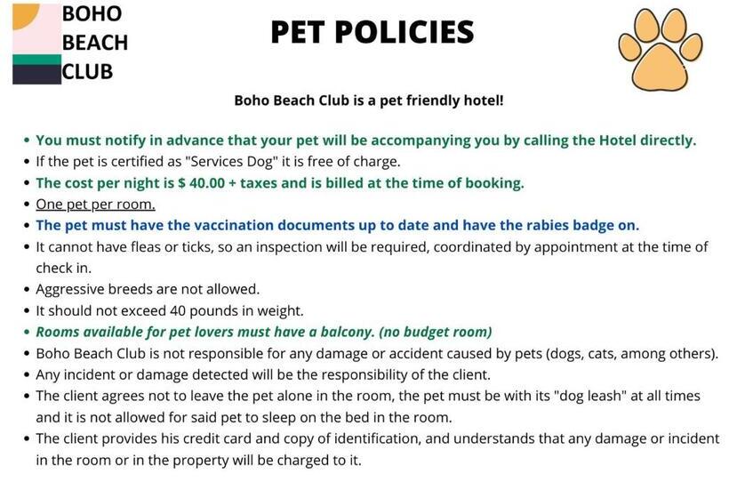 이코노미 룸, Boho Beach Club