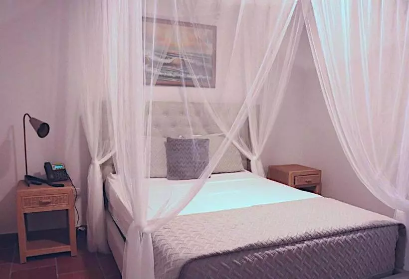 اتاق اکونومی, Boho Beach Club